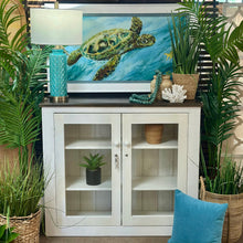 Load image into Gallery viewer, 2DR Glass Front Cabinet
