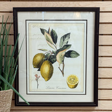 Load image into Gallery viewer, Framed Lemons Art
