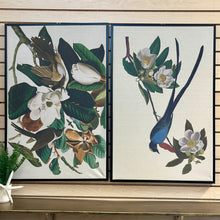 Load image into Gallery viewer, Bird Floral I Art

