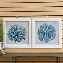 Load image into Gallery viewer, Blue Coral II
