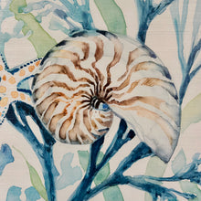 Load image into Gallery viewer, Seashell Collection Giclee Art
