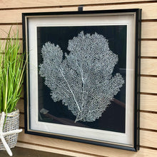 Load image into Gallery viewer, Framed Silver Coral
