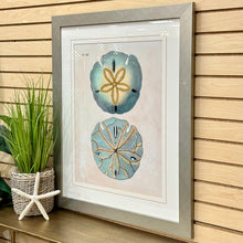 Load image into Gallery viewer, Turquoise &amp; Taupe Sand Dollar Art
