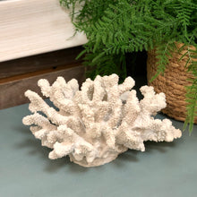 Load image into Gallery viewer, Decorative Coral
