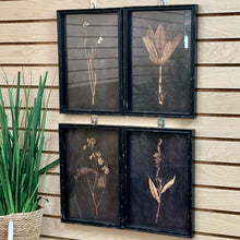 Load image into Gallery viewer, Set/4 Black Framed Botanical Prints
