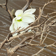 Load image into Gallery viewer, Handcrafted Silk Magnolia
