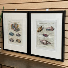 Load image into Gallery viewer, Shell I Art
