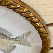 Load image into Gallery viewer, Oval Fish Print I Art
