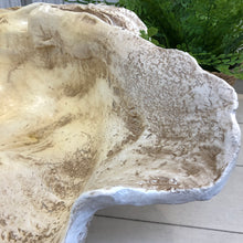 Load image into Gallery viewer, LG Clam Shell Decor
