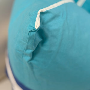 Stripe and Solid Aqua Down Pillow