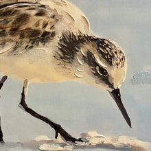 Load image into Gallery viewer, Right Facing Shorebird Art
