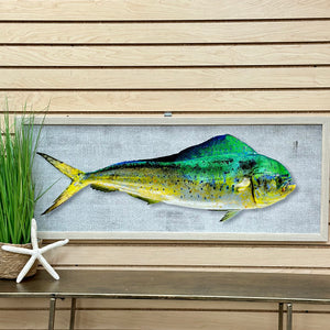 Framed Dolphin Fish Art