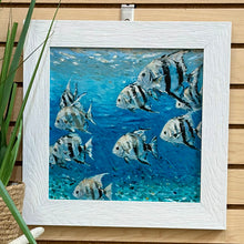 Load image into Gallery viewer, SM School Of Fish I
