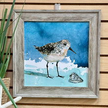 Load image into Gallery viewer, SM Sandpiper I
