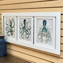 Load image into Gallery viewer, Framed Octopus Trio
