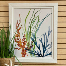 Load image into Gallery viewer, Colorful Sealife II Giclee Art
