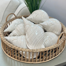 Load image into Gallery viewer, Ivory Ceramic Shell
