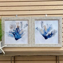 Load image into Gallery viewer, SM Sea Plant II
