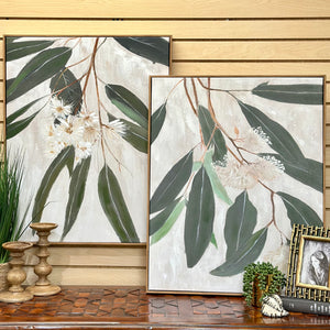 Framed Eucalyptus I