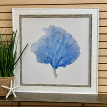 Load image into Gallery viewer, Blue Seafan I
