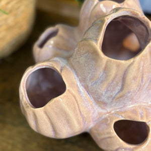Pink Barnacle Decor