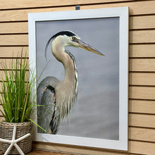 Load image into Gallery viewer, Right Lookout Heron Giclee
