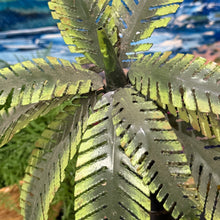 Load image into Gallery viewer, SM Metal Palm Tree Decor
