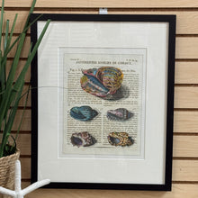 Load image into Gallery viewer, Shell I Art
