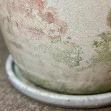 Load image into Gallery viewer, LG Ivory Abstract Pot
