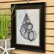 Load image into Gallery viewer, Black Framed Shell Art I
