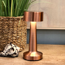 Load image into Gallery viewer, Bronze LED Accent Lamp
