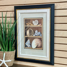 Load image into Gallery viewer, Blk/Gold Framed Shell Art
