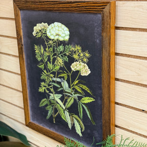 Framed Wildflower Art I