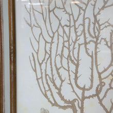 Load image into Gallery viewer, Beige Coral Art IV
