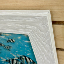 Load image into Gallery viewer, SM School Of Fish II
