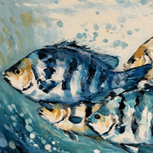 Load image into Gallery viewer, School Of Fish Giclee
