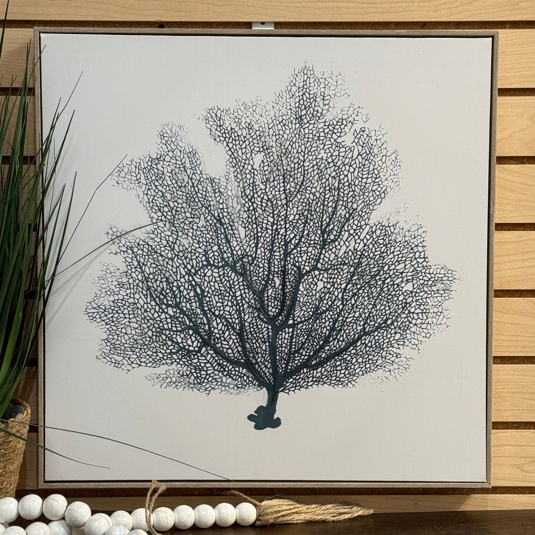 Sea Fan Art