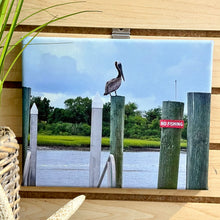 Load image into Gallery viewer, Pelican Photography On Canvas
