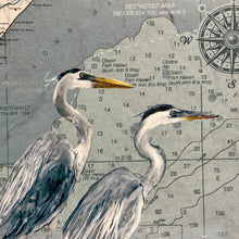 Load image into Gallery viewer, Carolina Map W/Shorebirds
