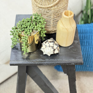 Black Plant Stand