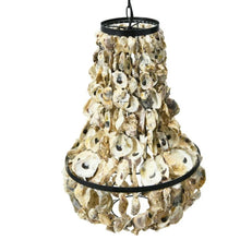 Load image into Gallery viewer, Oyster Shell Chandelier
