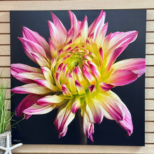Load image into Gallery viewer, Dahlia Canvas
