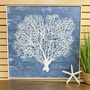 Framed White Seafan I