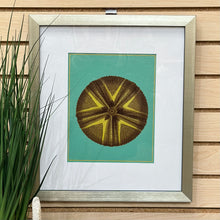 Load image into Gallery viewer, Sand Dollar Art
