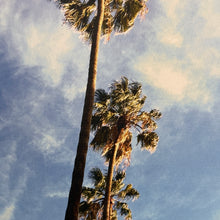 Load image into Gallery viewer, Cali Palm Art
