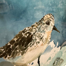 Load image into Gallery viewer, Glass Framed Sandpiper II

