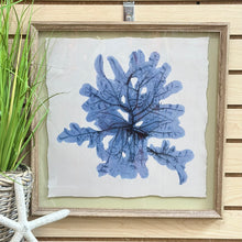 Load image into Gallery viewer, Framed Blue Coral I
