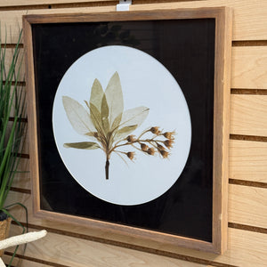 Leaf  Framed Art