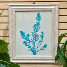 Load image into Gallery viewer, Seaweed I Framed Art
