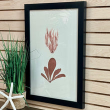 Load image into Gallery viewer, Botanical Print III Art
